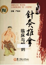 《针灸推拿临床与解剖》严振国主编；卢寿如，刘延祥，刘颖等副主编 上海：第二军医大学出版社 2012