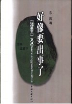 《好像要出事了 》 东西著 中国文联出版社 2003