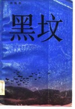 《黑坟》 周梅森著 浙江文艺出版社 1987