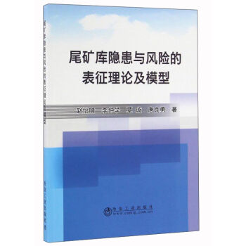尾矿库隐患与风险的表征理论及模型