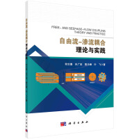 自由流-渗流耦合理论与实践