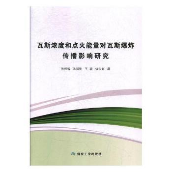 瓦斯浓度和点火能量对瓦斯爆炸传播影响研究