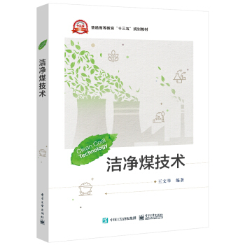 洁净煤技术