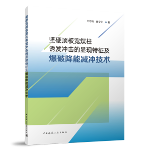 坚硬顶板宽煤柱诱发冲击的显现特征及爆破降能减冲技术