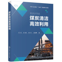 煤炭清洁高效利用