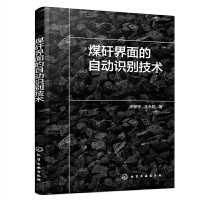 煤矸界面的自动识别技术
