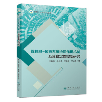  煤柱群-顶板系统协同作用机制及其稳定性控制研究 矿山岩体力学 煤矿安全