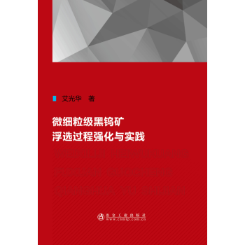 微细粒级黑钨矿浮选过程强化与实践