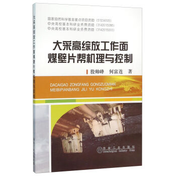 大采高综放工作面煤壁片帮机理与控制