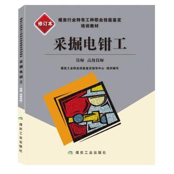  采掘电钳工：技师、高级技师