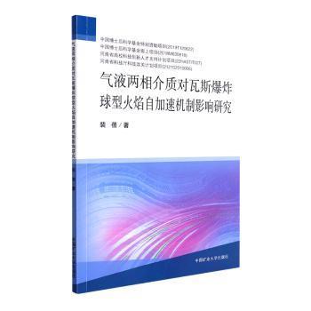 气液两相介质对瓦斯爆炸球型火焰自加速机制影响研究
