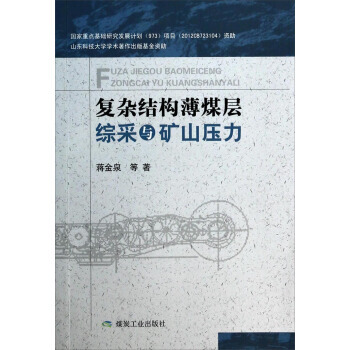 复杂结构薄煤层综采与矿山压力