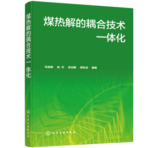 煤热解的耦合技术一体化