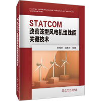 STATCOM改善笼型风电机组性能关键技术