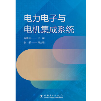  电力电子与电机集成系统