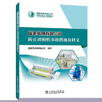  国家电网有限公司防止调相机事故措施及释义