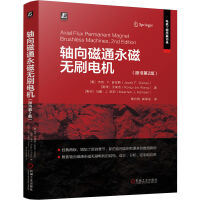 轴向磁通永磁无刷电机