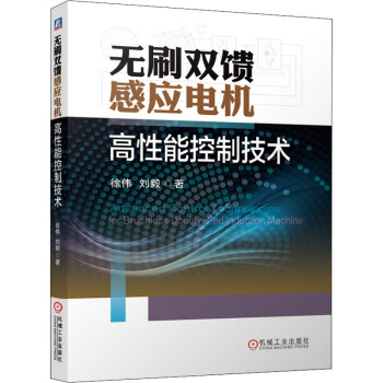 无刷双馈感应电机高性能控制技术