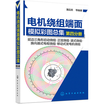 电机绕组端面模拟彩图总集.第四分册