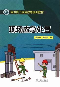 电力员工安全教育培训教材 现场应急处置