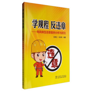 学规程 反违章：电网典型违章案例分析与防范