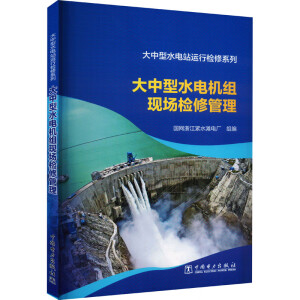 大中型水电站运行检修系列 大中型水电机组现场检修管理