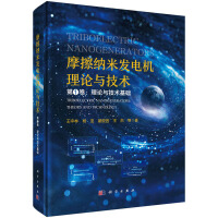 摩擦纳米发电机理论与技术（第一卷：理论与技术基础）