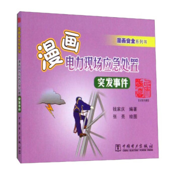漫画安全系列书·漫画电力现场应急处置：突发事件