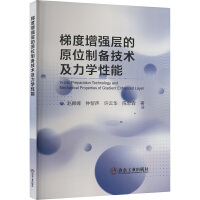 梯度增强层的原位制备技术及力学性能