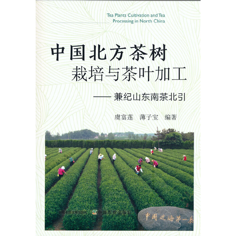 中国北方茶树栽培与茶叶加工——兼纪山东南茶北引