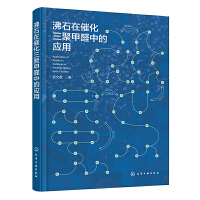 沸石在催化三聚甲醛中的应用