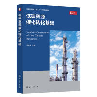 低碳资源催化转化基础（陆安慧）