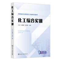 化工综合实训（王琳）