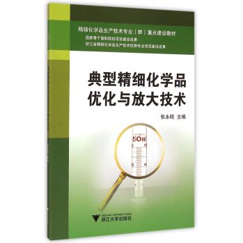 典型精细化学品优化与放大技术 