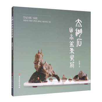 太湖石山水盆景赏析