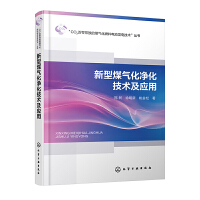 新型煤气化净化技术及应用