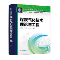  煤炭气化技术：理论与工程