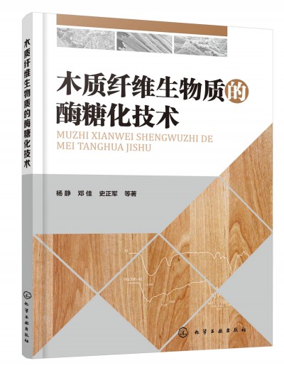 木质纤维生物质的酶糖化技术