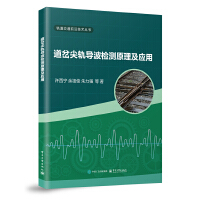 道岔尖轨导波检测原理及应用
