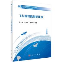 飞行器智能集群技术