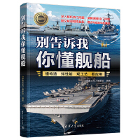 别告诉我你懂舰船