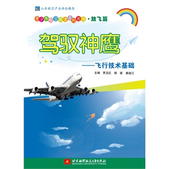 驾驭神鹰——飞行技术基础（青少年航空教育系列图书·放飞篇）
