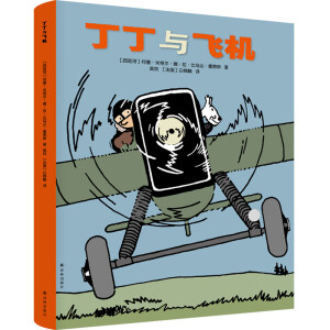 丁丁与飞机