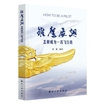 雏鹰展翅- 怎样成为一名飞行员