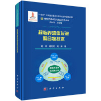 超临界流体发泡聚合物技术