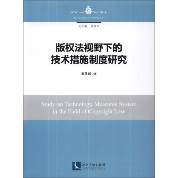 版权法视野下的技术措施制度研究