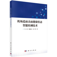 机场道面表面健康状态智能检测技术