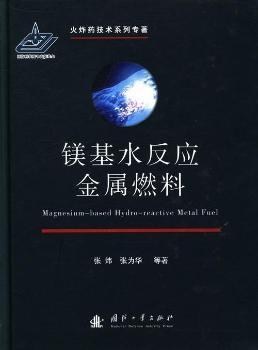 镁基水反应金属燃料