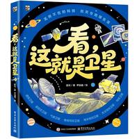 看，这就是卫星