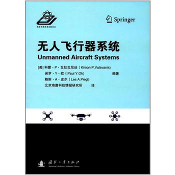  无人飞行器系统